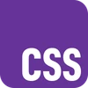 CSS logo